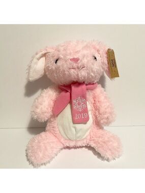 Petsmart Hope Pink Plush Bunny Rabbit Stuffed Animal Toy 12” New Gift Lovey Dog